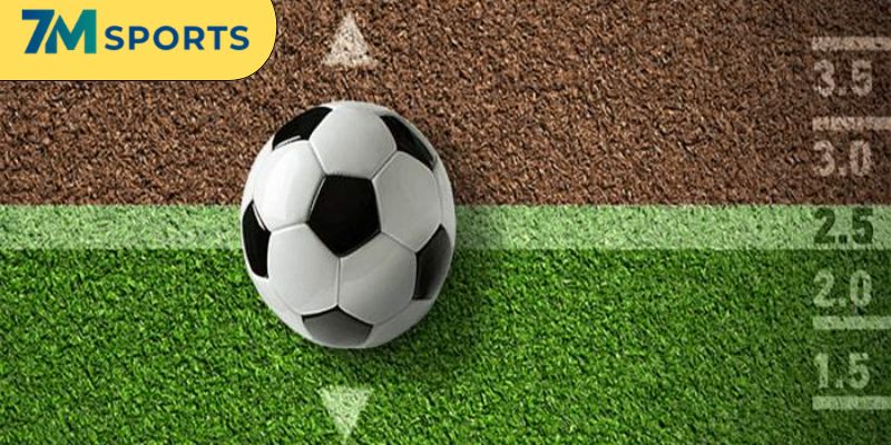 Hướng dẫn nhận diện các thông số lợi nhuận