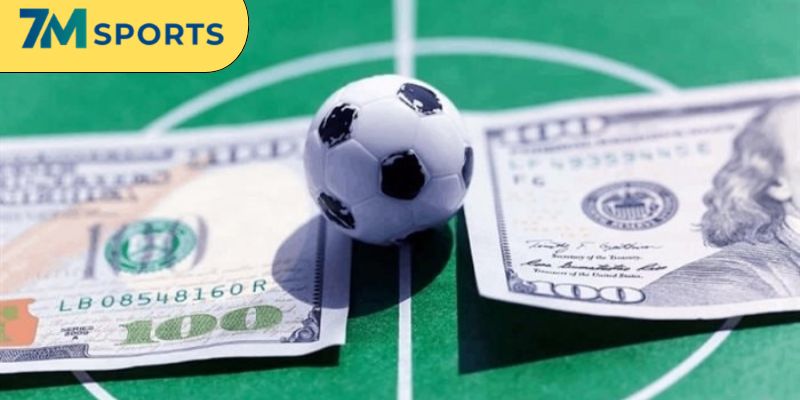 Quy trình đăng ký thông tin cho người mới